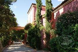 Film locations: The Blood Tree