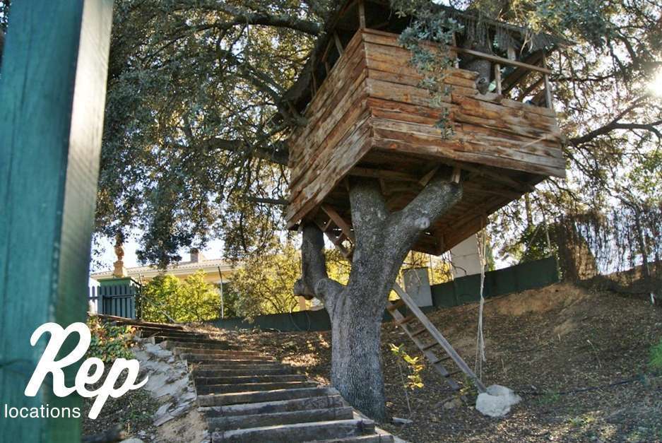 Cabaña del árbol